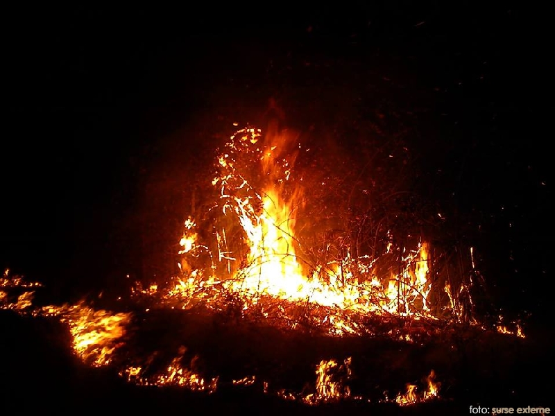 Incendiu vegetatie