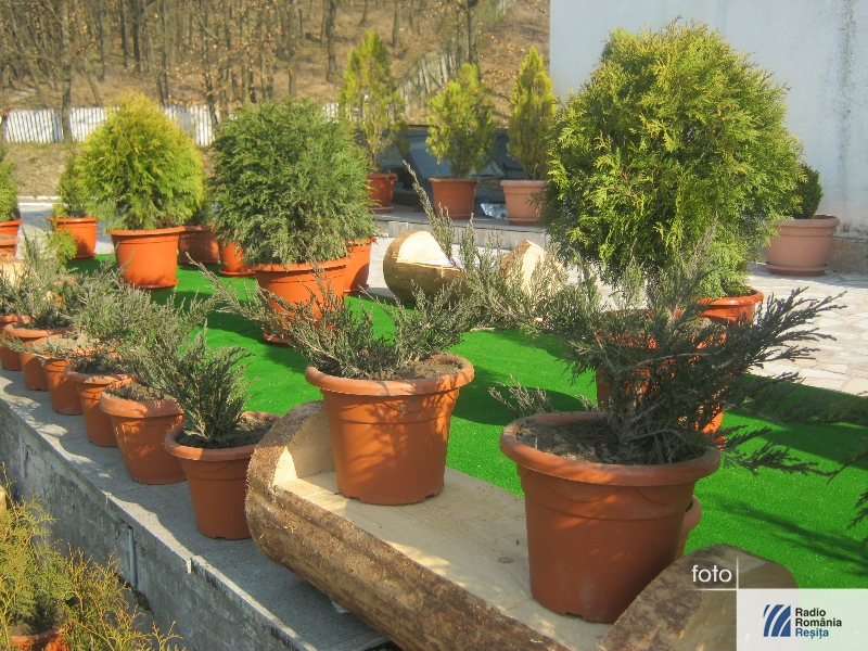 expoforest1
