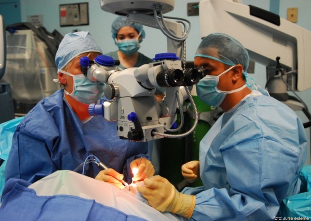 ligamente