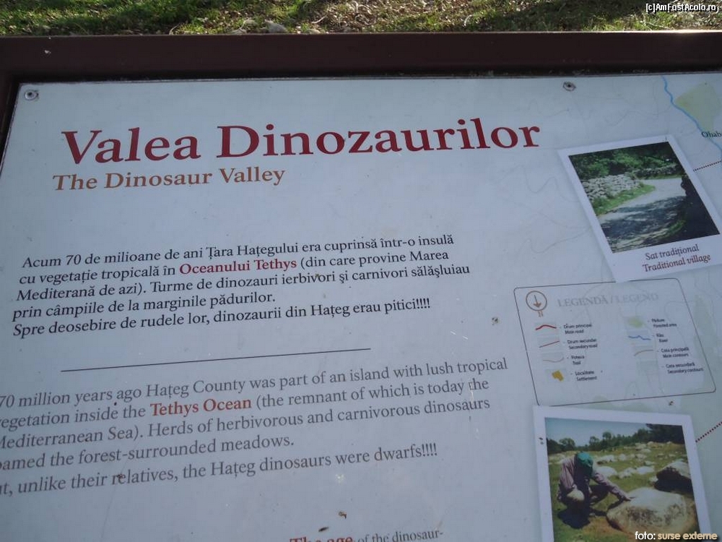 valea-dinozaurilor