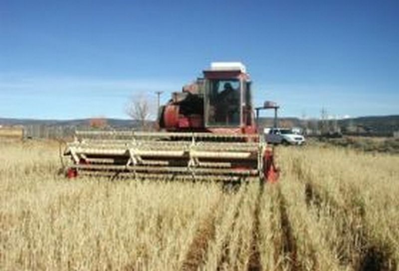 COMBINA AGRICOLA