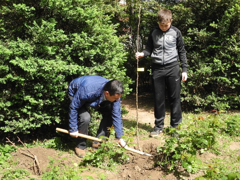 aprilie 7 plantare pomi saptamanaaltfel (2)