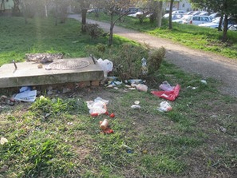 deseuri Tm