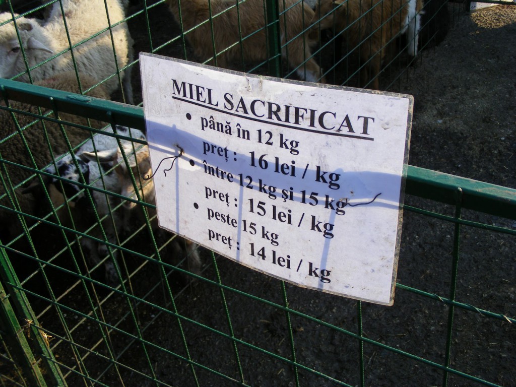 Sărbătorile Pascale
