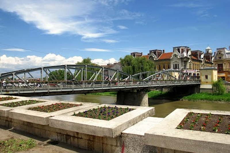 Timiș