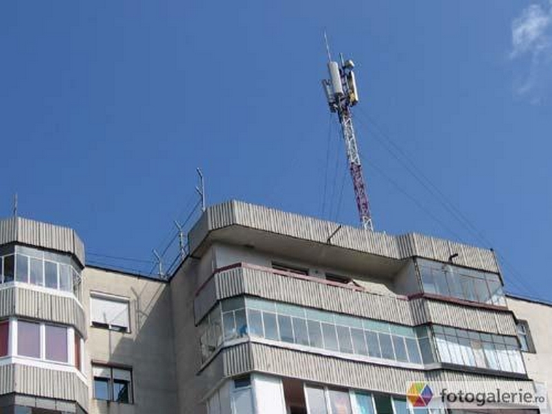 antenele