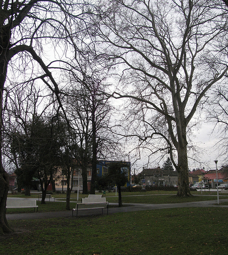 parcul enescu