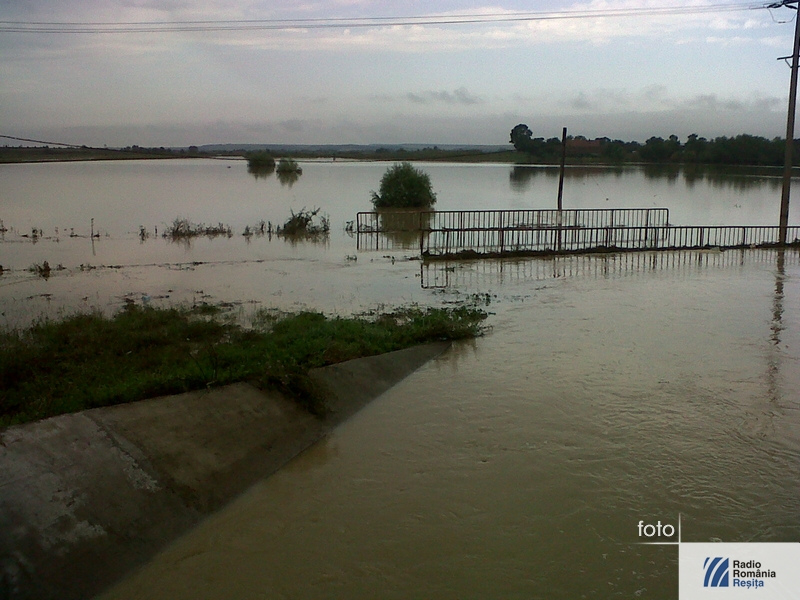 IMG04030-20140801-1034
