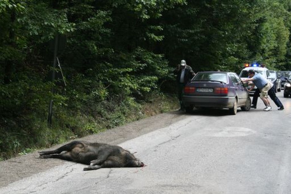 accident mistret