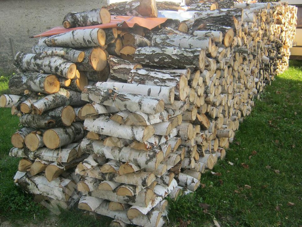 lemne-foc
