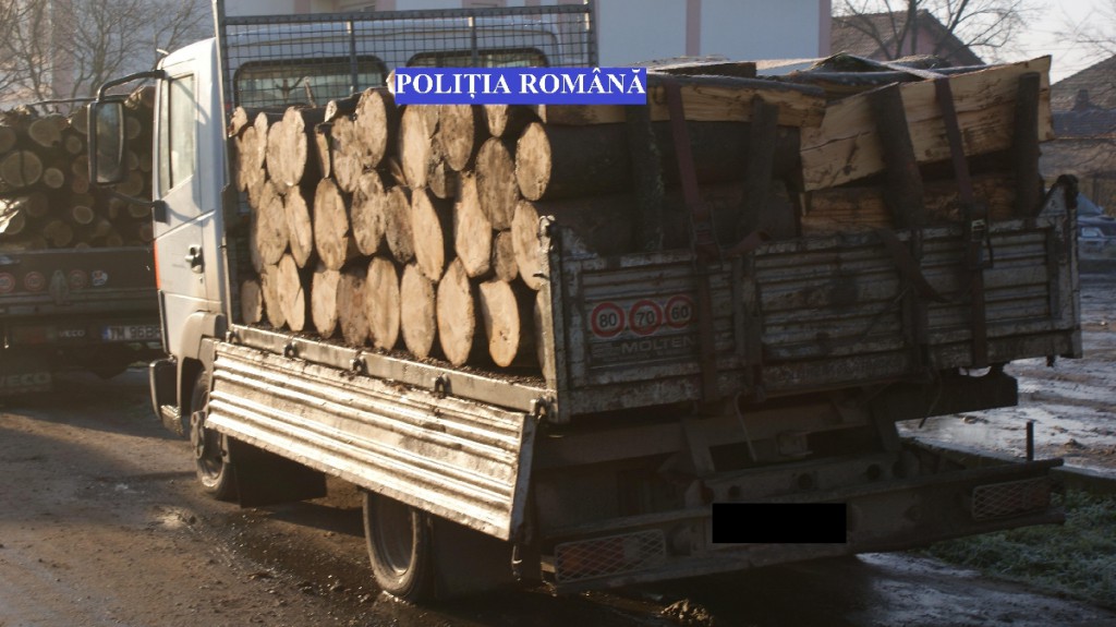 verificari transport material lemnos (2)