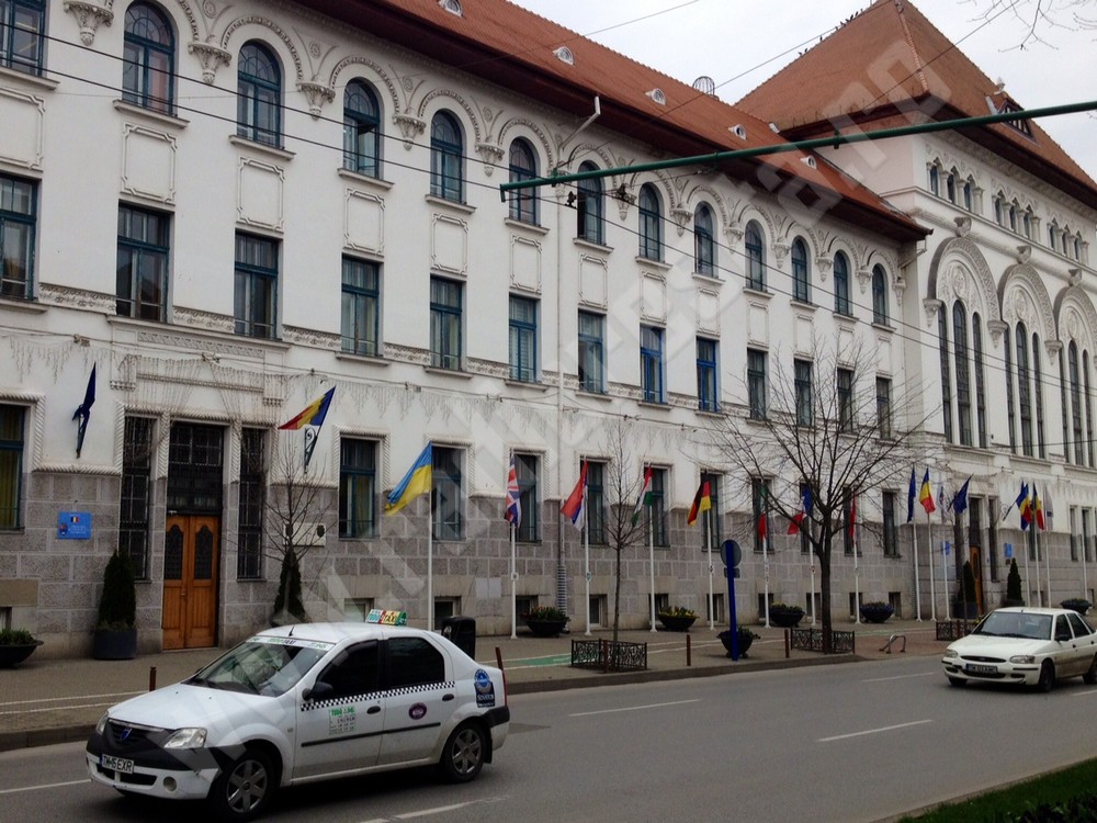 primaria timisoara (2)