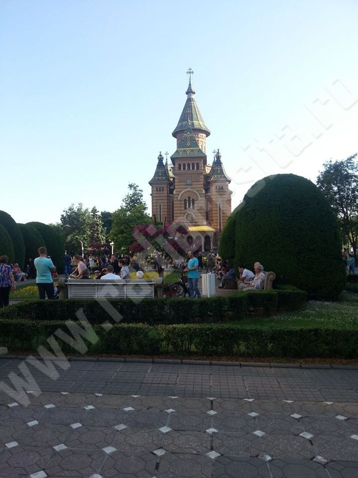 timisoara  piata
