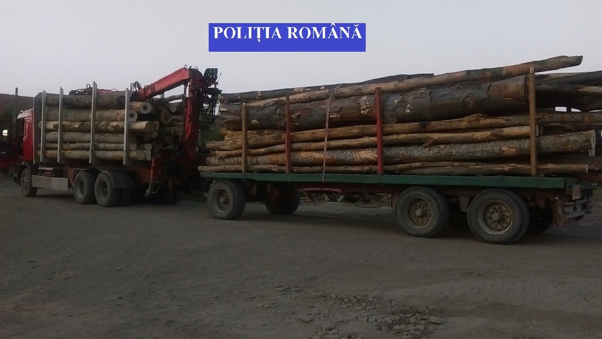 transport material lemnos