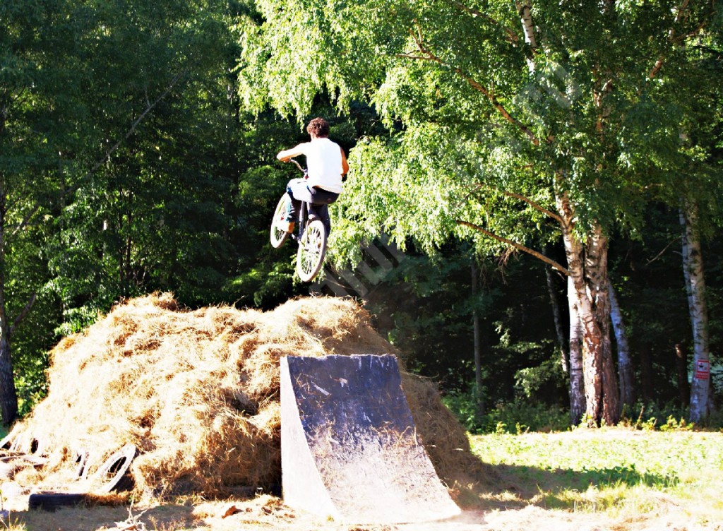 sekul forest parc (3)