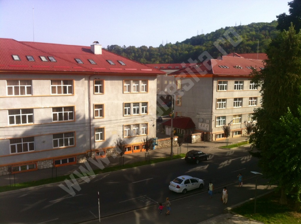 Universitatea Eftimie Murgu