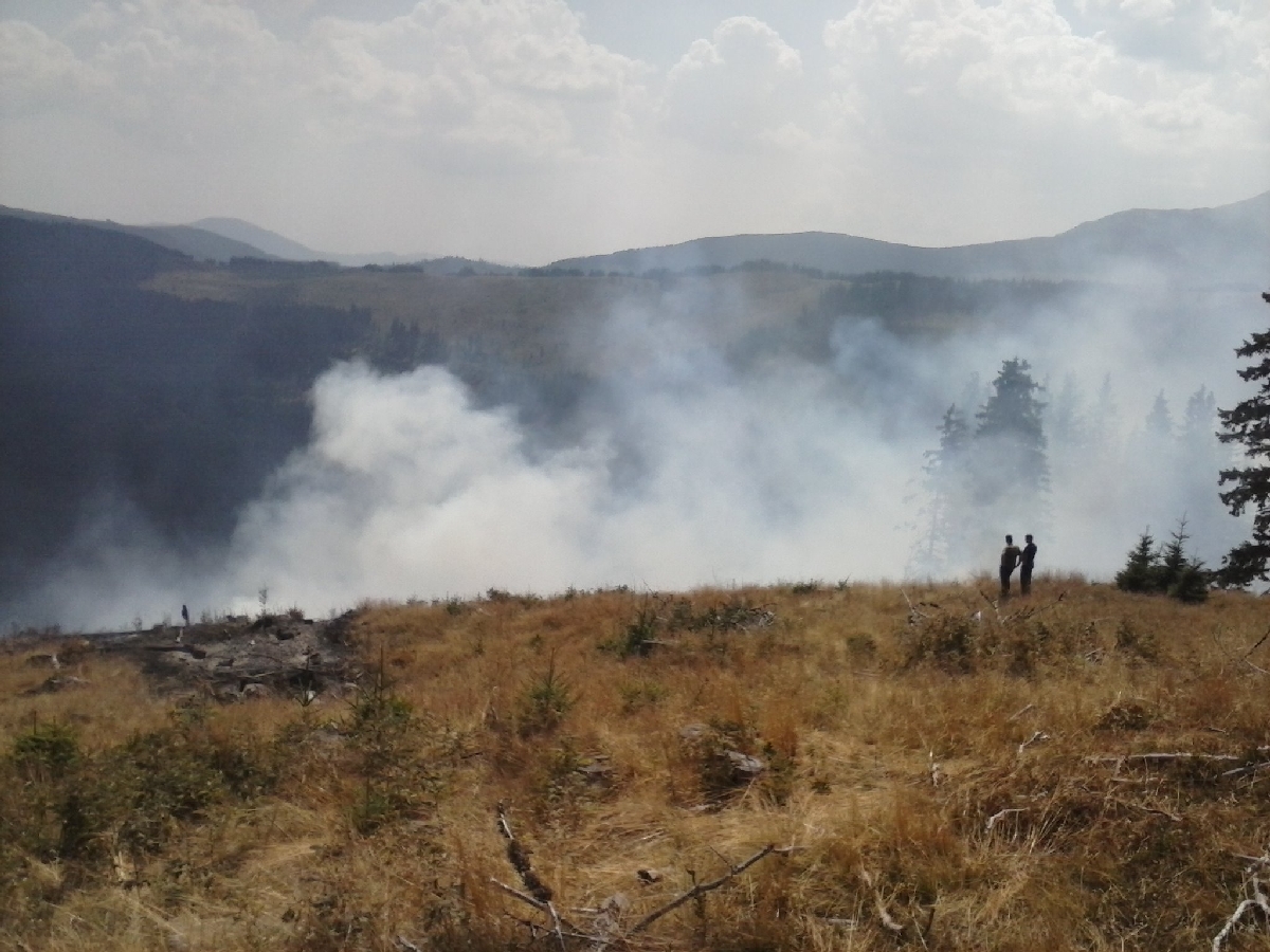 incendiu Retezat