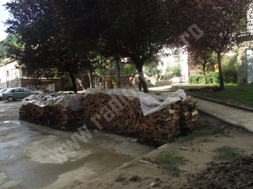 DSCF9751