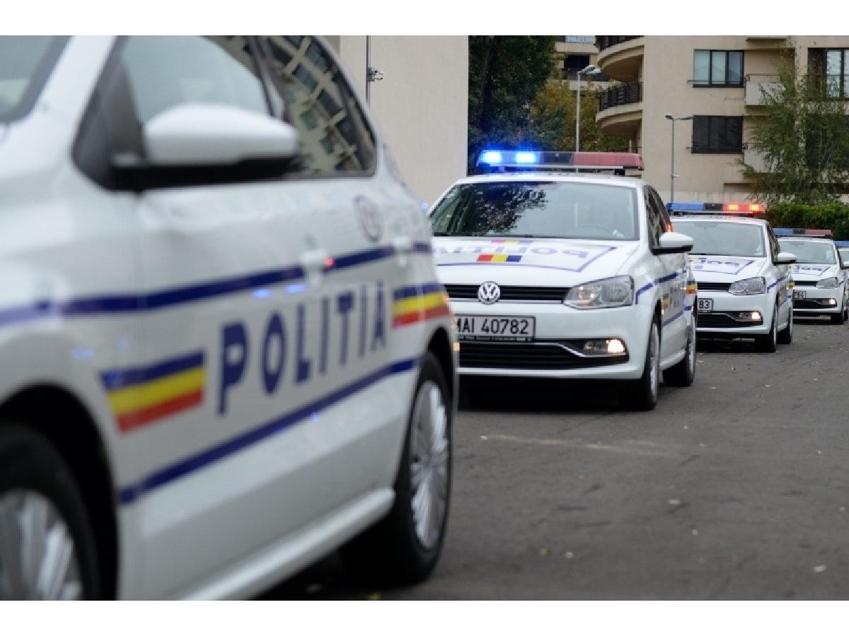 polo politie