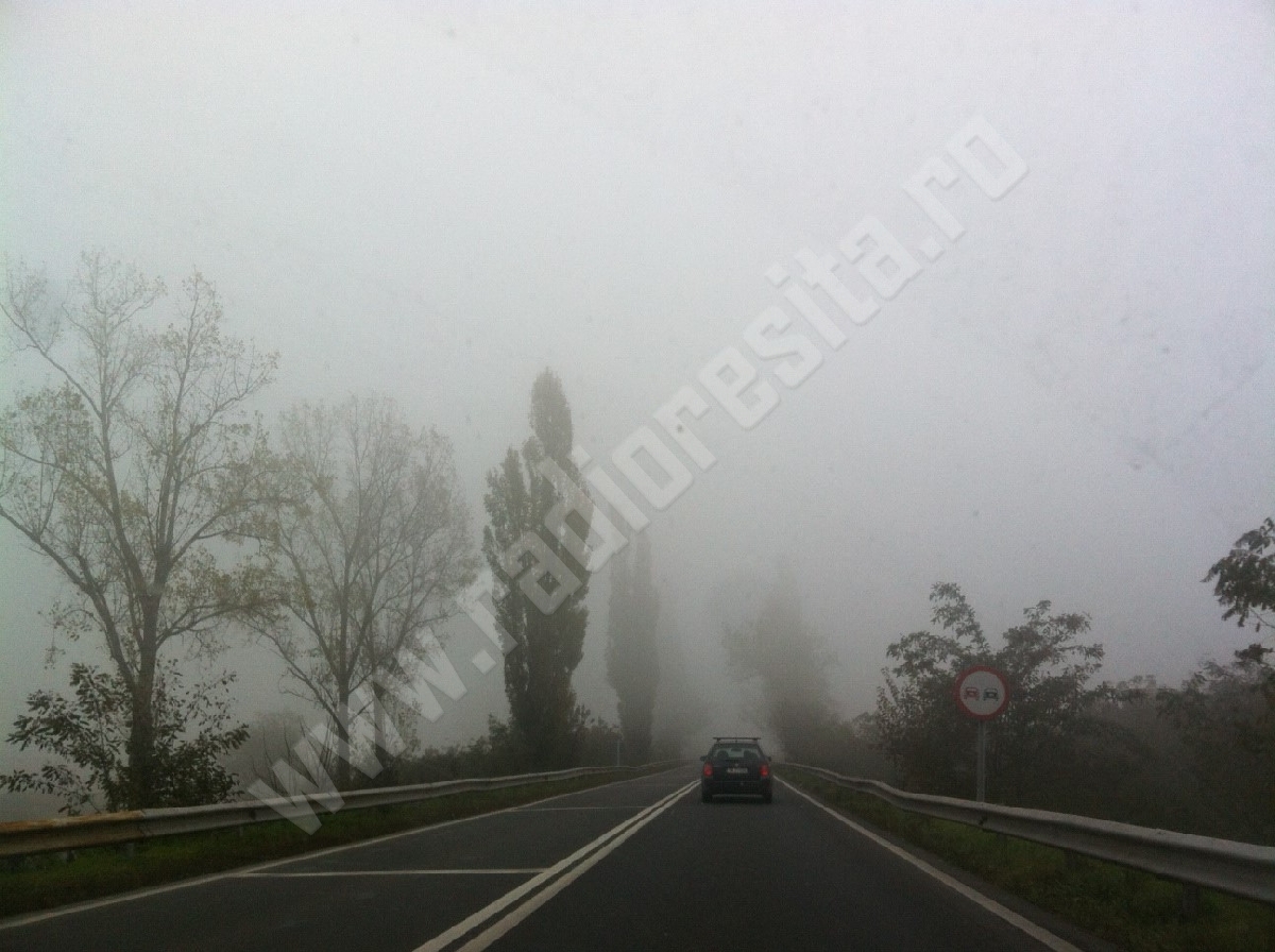 ceata, vizibilitate redusa, drum national, Resita-Timisoara (1)