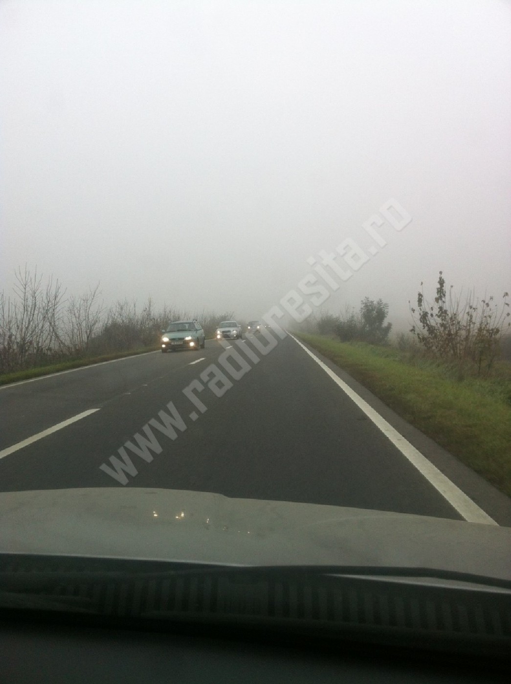 ceata, vizibilitate redusa, drum national, Resita-Timisoara (4)