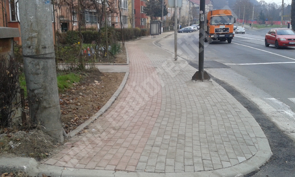 pavaje (6)
