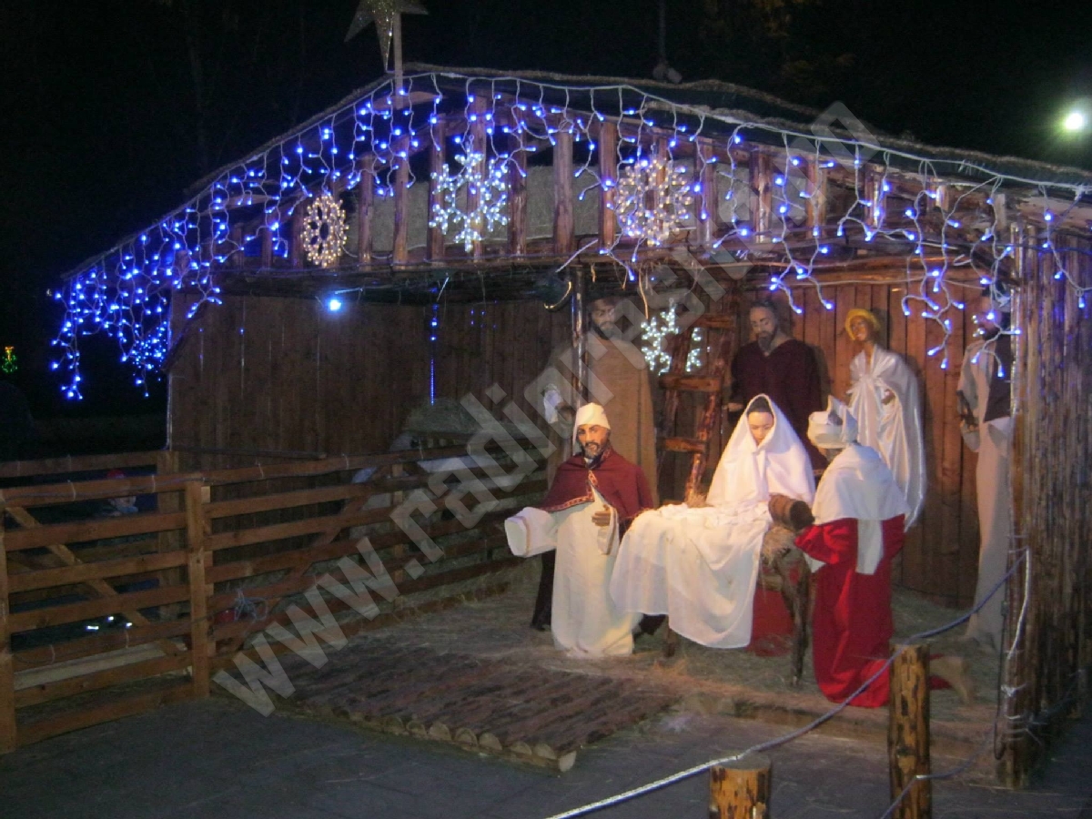 poza Craciun