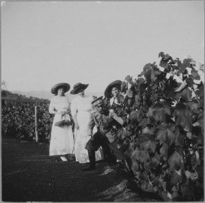 Olga-and-Tatiana-picking-grapes