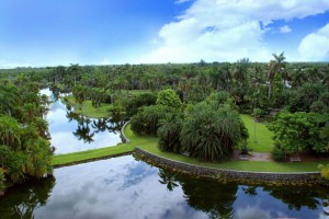 Parcul Tropical de Palmieri din statul american Florida