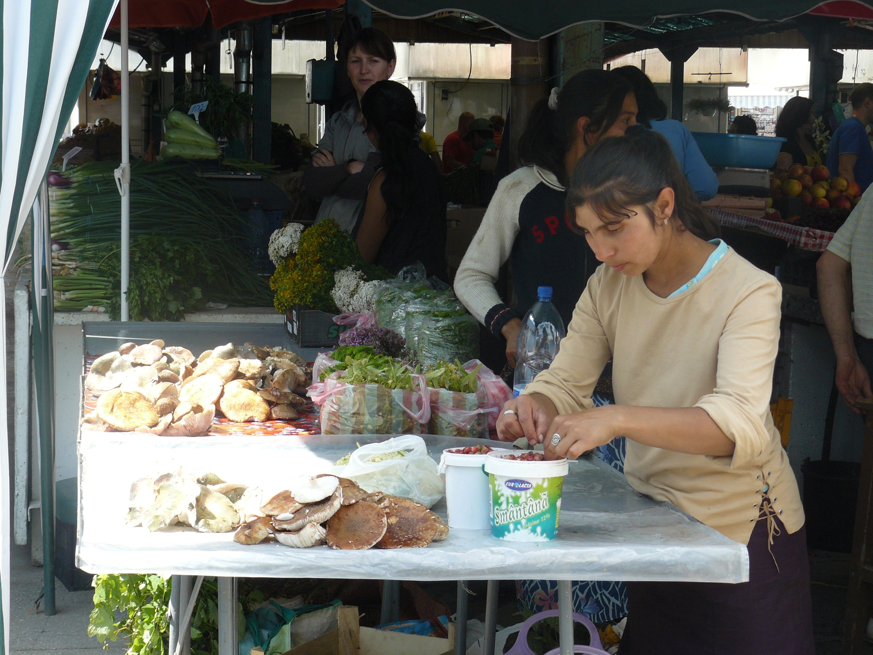 Vanzatori-ciuperci-piata-iunie-2013-07tgtgtg