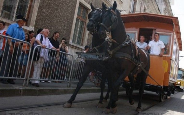 Ziua Transportului Public sărbătorită la Timişoara