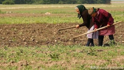 Pagubele vor fi achitate până la sfârşitul lunii august