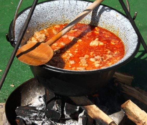 Tocăniţa-n festival!