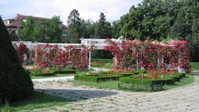 Operă, operetă şi balet în Parcul Rozelor din Timişoara