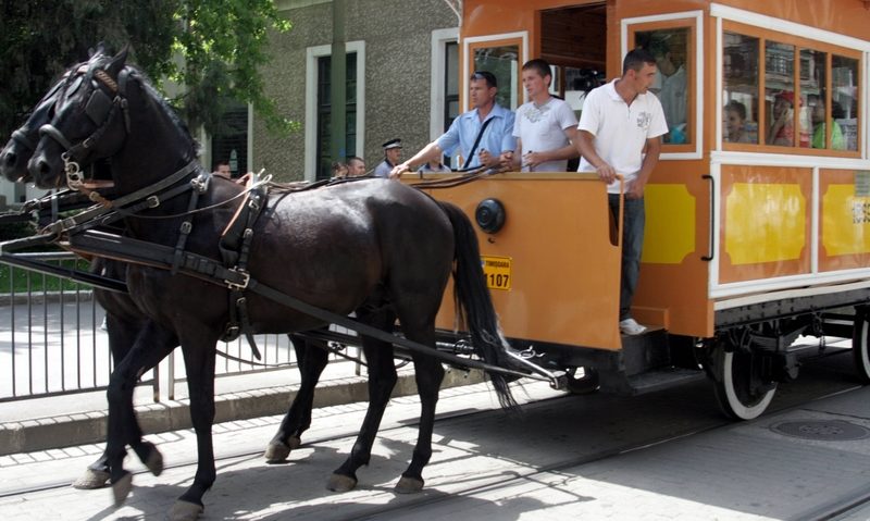 Plimbare cu tramvaiul turistic, de Ziua Transportului Public Local