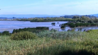 Prevenirea riscurilor naturale şi tehnologice în zona umedă Divici – Pojejena