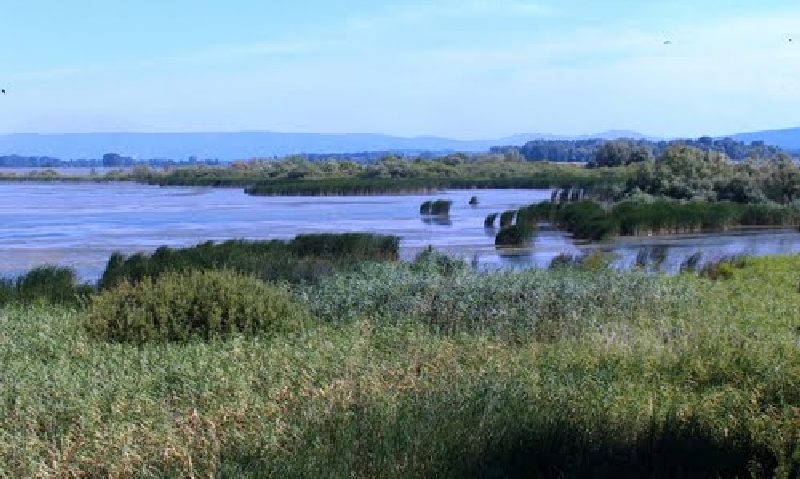 Prevenirea riscurilor naturale şi tehnologice în zona umedă Divici – Pojejena