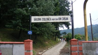 [AUDIO] Se apropie inaugurarea grădinii zoologice din Reşiţa