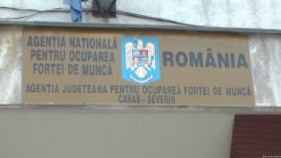 Angajări în masă! Se caută 200 de muncitori necalificaţi