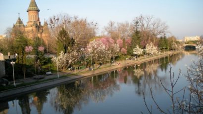 Amenajarea malurilor canalului Bega, întârziată din cauza ploilor