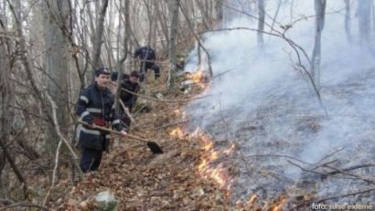 Pompierii au reuşit să stingă incendiul din Parcul Naţional Domogled!