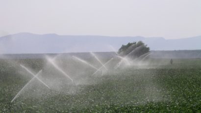 Nereguli grave descoperite în Timiş de reprezentanţii Ministerului Agriculturii