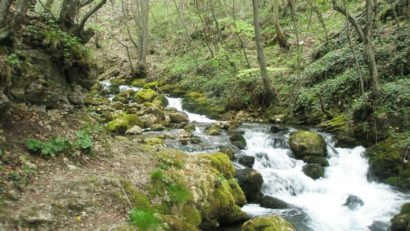 Turist rătăcit în zona Ocolului Silvic Nera din Bozovici