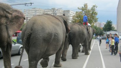 [AUDIO] Trafic „cu greutate” pe străzile din Reşiţa