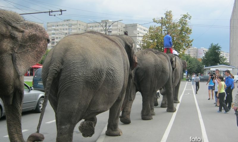 [AUDIO] Trafic „cu greutate” pe străzile din Reşiţa