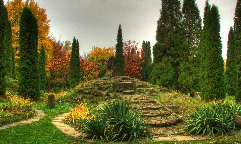 Porţi deschise la grădina botanică