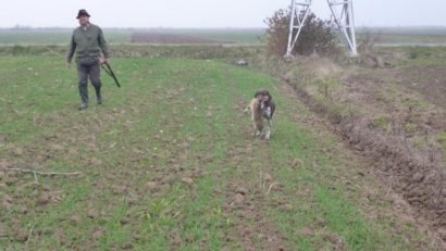 La început de toamnă, vânătorii cărăşeni desfăşoară o activitate intensă