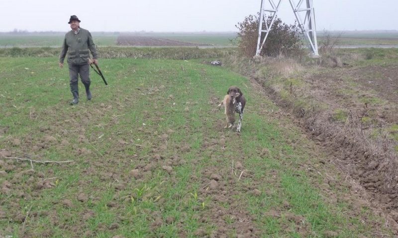 La început de toamnă, vânătorii cărăşeni desfăşoară o activitate intensă