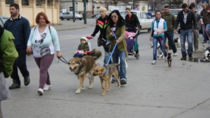 Marş de protest pentru câinii fără stăpân