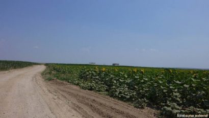 [AUDIO] Agricultorii cărăşeni încă aşteaptă plata pe suprafaţă